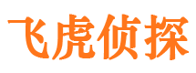 青龙婚外情调查取证